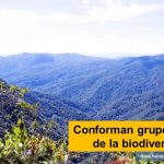 Neiva Huila Pitalito Colombia Conforman grupo de monitoreo de la biodiversidad en Isnos - www.tvnoticias.com.co protección de especies y ecosistemas amenazados en el municipio de Isnos CAM Grupos de monitoreo plan de conservación de especies amenazadas presentes en el Huila Grupos de Monitoreo Comunitarios hábitat recuperación de los recursos naturales devastados