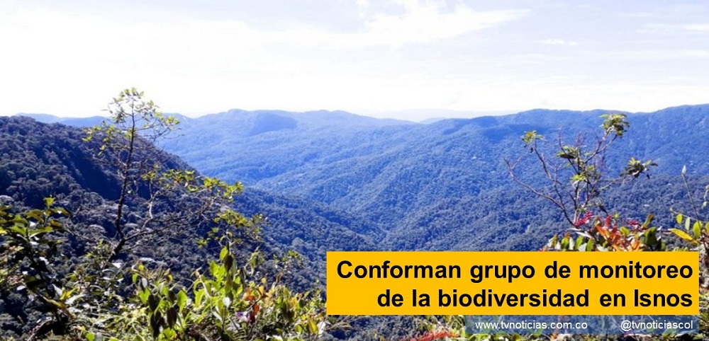 Neiva Huila Pitalito Colombia Conforman grupo de monitoreo de la biodiversidad en Isnos - www.tvnoticias.com.co protección de especies y ecosistemas amenazados en el municipio de Isnos CAM Grupos de monitoreo plan de conservación de especies amenazadas presentes en el Huila Grupos de Monitoreo Comunitarios hábitat recuperación de los recursos naturales devastados