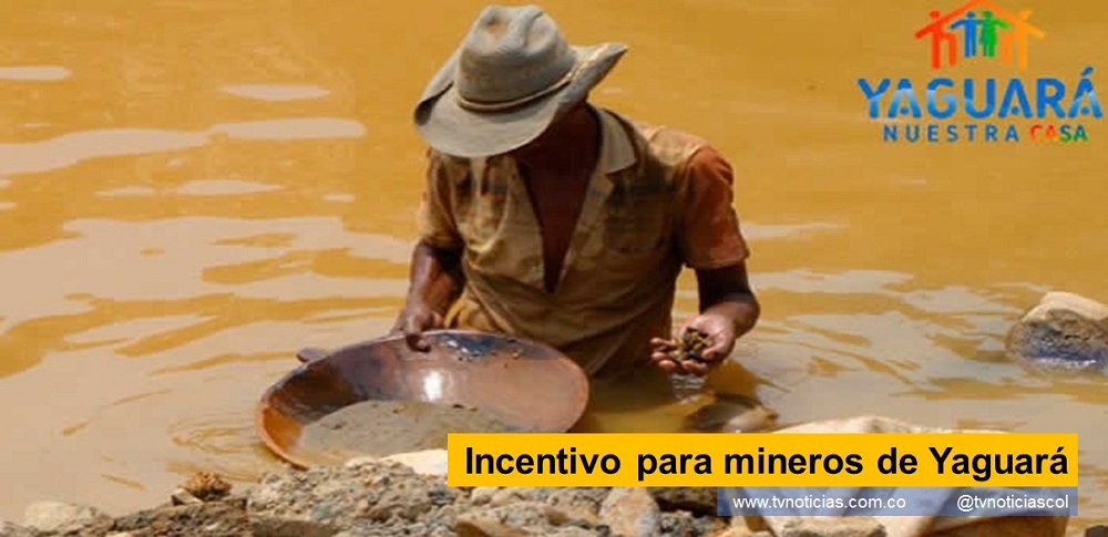 Un grupo de 32 mineros del Huila, fue incluido en el proyecto “Apoyo financiero para seguridad alimentaria a la población afectada por las causas de la emergencia o calamidad pública declarada en el marco de la emergencia económica social y ecológica covid-19 en Yaguará”. Incentivo para mineros de Yaguará www.tvnoticias.com.co Neiva Huila Colombia