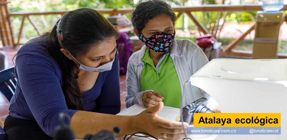 Un grupo de jóvenes y adultos, adelantará un programa de monitoreo para aumentar el conocimiento sobre la biodiversidad presente en la eco-reserva “La Tribuna” ubicada en la vereda Tamarindo, a 30 minutos de Neiva, con una extensión de 127 hectáreas con predominio de bosque seco tropical y en predios de ECOPETROL Atalaya ecológica Neiva Huila Colombia www.tvnoticias.com.co Programa de Apoyos a la Investigación Barcode of Life Data System
