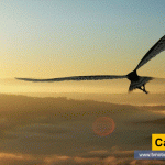 La transformación única alternativa que permite persistir en la consecución del objetivo de vida del residente en el planeta tierra. La negativa al cambio y a la innovación inducen al deterioro de la existencia, por lo tanto, implica desaparición. Cambiar o morir tvnoticiascol TVNOTICIAS.COM