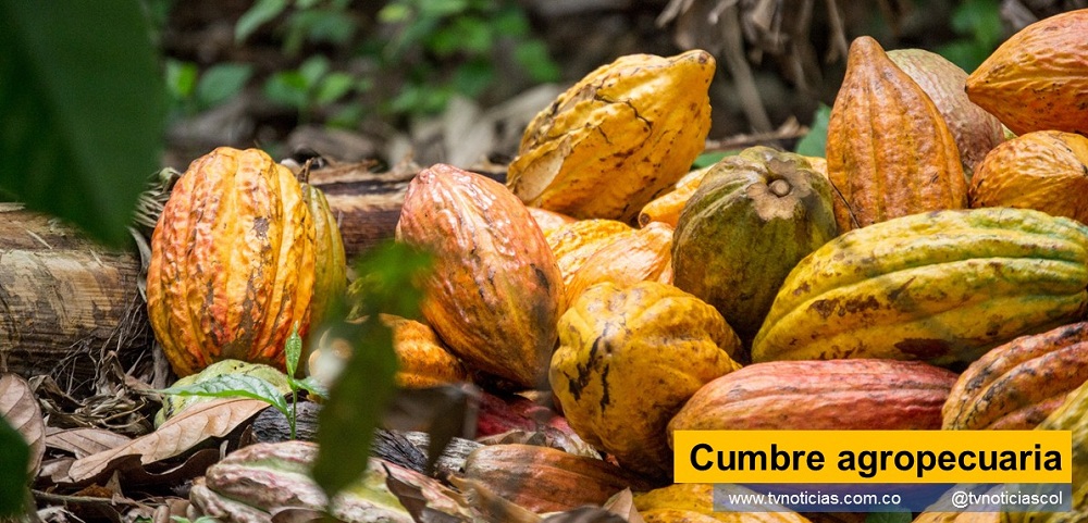Los embajadores de varios países europeos con su similar de. Estados Unidos, acreditados en Colombia, encabezan la cumbre agropecuaria, propuesta por el Huila en Bogotá El evento se cumple en el hotel Rosales de la capital de la República, desde las 2.00 p. m. del jueves 24 de junio. Justifica la onerosa jornada, el lanzamiento de La Feria Internacional del Cacao y el Café y muestra agropecuaria, prevista del 2 al 4 de. Septiembre de 2021 en Neiva Cumbre agropecuaria tvnoticiascol TVNOTICIAS.COM