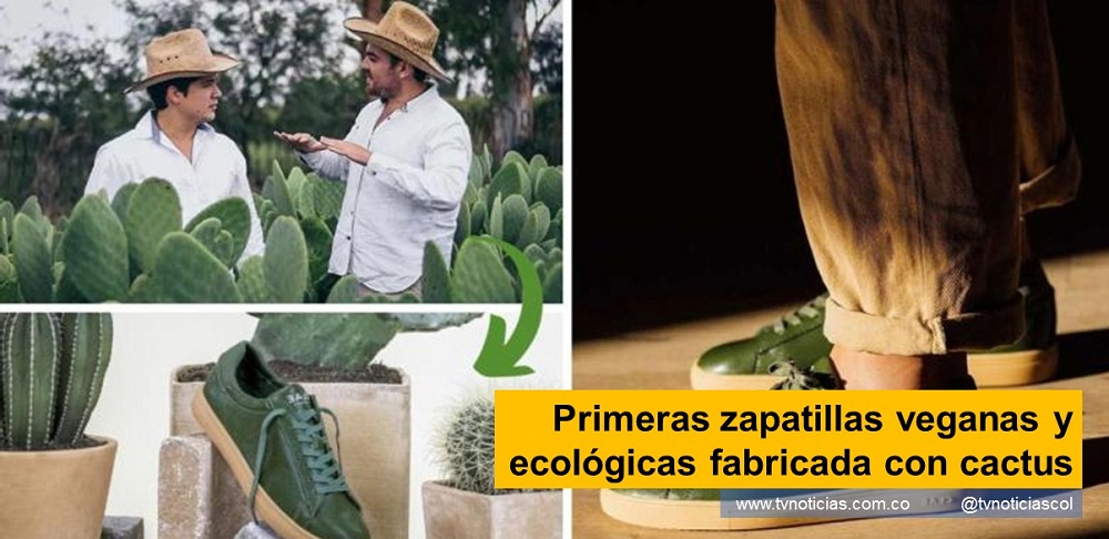 marca de calzado independiente CLAE que ha decido celebrar su aniversario 20 lanzando una nueva colección de zapatillas al mercado, pero esta vez son ecológicas porque están hechas con materiales como el cáñamo y la malla reciclada Primeras zapatillas veganas y ecológicas fabricada con cactus - www.tvnoticias.com.co tvnoticiascol TVNOTICIAS.COM DESSERTO, una compañía creada en México Nopal o Chumbera una baja huella ecológica y ser 100% orgánica materiales ecológicos como el cartón reciclado
