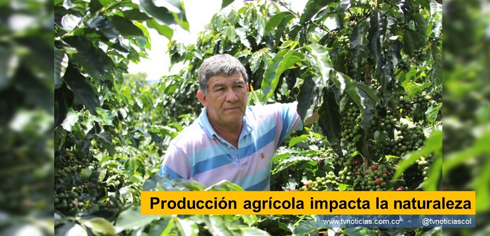 La actual trayectoria de crecimiento de la producción agrícola es insostenible, debido a sus impactos negativos sobre los recursos naturales y el medio ambiente. Una tercera parte de la tierra agrícola está degradada y hasta el 75 por ciento de la diversidad genética de los cultivos se ha perdido. Producción agrícola impacta la naturaleza tvnoticiascol TVNOTICIAS.COM biodiversidad