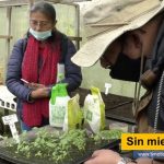 Esta no es un aula de clase convencional, con cuatro paredes y un tablero de tiza donde un profesor vestido de bata blanca le habla a 30 o 50 chicos. En esta huerta, Óscar Javier García, ingeniero agrónomo, le enseña a sus alumnos a preservar el arte de la siembra que practicaban sus abuelos. Mabel Sua, alcaldesa local de Usme. Sin miedo a conserva tvnoticiascol TVNOTICIAS.COM