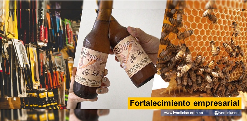 Un grupo de excombatientes logró aprobación de iniciativas productivas proyectadas desde hace varios años, como alternativa para reincorporarse a la vida económica del país, luego del Acuerdo de Paz en La Habana. Fortalecimiento empresarial recibirán financiación por $438 millones. Las iniciativas tienen que ver con la Apicultura, Producción de cerveza artesanal y el funcionamiento de una ferretería del Consejo Nacional de Reincorporación CNR tvnoticiascol TVNOTICIAS.COM www.tvnoticias.com.co Asociación Ambiental Defensores de la Reserva Neiva Huila Colombia