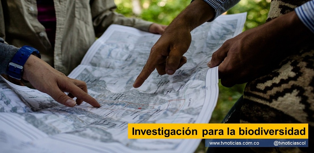 Investigación para la biodiversidad Una jornada científica encaminada a construir la agenda de investigación, desarrollo tecnológico e innovación regional para la conservación y el uso sostenible de la biodiversidad regional realizará Neiva. El certamen organizado por el Instituto Humboldt y ECOPETROL, será virtual y presencial los días 30 de septiembre y 1 de octubre de 2021 y es considerado como un espacio de diálogo y creación, para impulsar la investigación FIBRAS TVNOTICIAS.COM tvnoticiascol www.tvnoticias.com.co