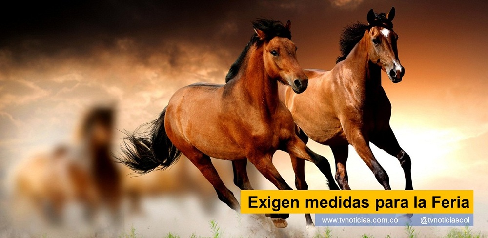 Exigen medidas para la Feria Un informe detallado de las medidas de bioseguridad adoptadas para mitigar el riesgo de transmisión del COVID-19 durante la próxima Feria Equina, debe entregar el Alcalde de Pitalito Huila. La exigencia la hizo La Procuraduría General de la Nación, a Edgar Muñoz Torres, actual mandatario local, ante la proximidad del certamen ferial, previsto para el 12 y 14 de noviembre. En desarrollo de una acción preventiva, la Procuraduría Provincial de Garzón, Huila salud pública UCI Pitalito laboyanos caballos equina www.tvnoticias.com.co tvnoticiascol