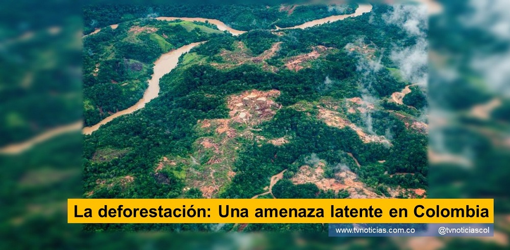 La destrucción del bosque en distintas regiones de Colombia, se convierte en una de las peores amenazas, como consecuencia de la ineficiencia de la autoridad ambiental y la débil acción estatal. El problema se acrecienta La deforestación una amenaza latente en Colombia tvnoticiascol tala quema