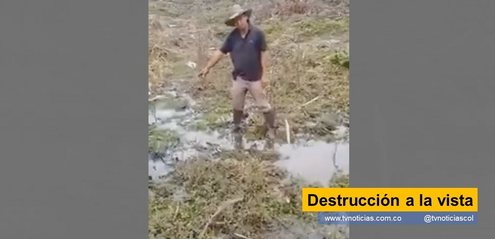 El ataque frontal, contra la riqueza natural, indispensable para la vida, lo acepta sin sonrojo, la autoridad colombiana. Esa destrucción se permite para dar paso al desarrollo incontrolado. Los voceros de la comunidad, al hacer el llamado, son descalificados o sindicados de enemigos de la democracia Destrucción a la vista tvnoticiascol www.tvnoticias.com.co medio ambiente natural ambiental