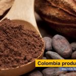 Cacao es una especie de vital para la agricultura AGROSAVIA FEDECACAO colombiana, al punto que muchos agricultores, en diferentes regiones del país, lo ven como alternativa para sustituir a otras, además, con el cambio climático, es opción en regiones donde antes no podía considerarse, como posibilidad Colombia produce cacao fino tvnoticiascol www.tvnoticias.com.co
