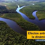 Los ríos son elementos dinámicos complejos y su comportamiento puede ser muy diferente ante intervenciones antrópicas aparentemente similares, por lo tanto, la extrapolación de un sitio a otro no siempre es acertada Efectos antrópicos sobre la dinámica de los ríos tvnoticiascol www.tvnoticias.com.co UNGRD deforestación