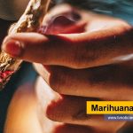 Cuando Laura Stack supo que su hijo de 14 años estaba consumiendo marihuana no se preocupó. “Ay, bueno, es solo hierba”, dice que pensó. “Gracias a Dios que no era cocaína” Marihuana más potente tvnoticiascol www.tvnoticias.com.co