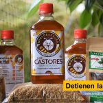 programa de Forestería Comunitaria que lidera el Ministerio de Ambiente y Desarrollo Sostenible - MADS y la Organización de las Naciones Unidas para la Alimentación y la Agricultura Grupo Ecológico "Los Castores" apicultura La buena destinación de recursos oficiales, evidencia la conciliación del entendimiento social y la recuperación económica Detienen las motosierras tvnoticiascol www.tvnoticias.com.co FAO CAM