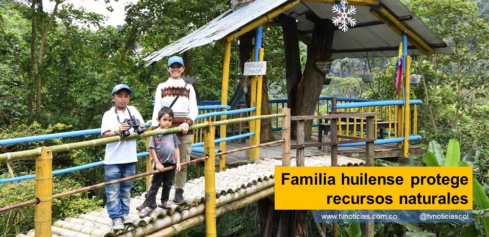 Dora Ruiz solía andar en vestido, medias veladas y zapato alto, ganando casos en los estrados judiciales de lunes a viernes para un bufete de abogados en Bogotá. Hoy trabaja de sol a sol, calza botas pantaneras, jeans, camisas y vive en el medio del campo Familia huilense protege recursos naturales - www.tvnoticias.com.co tvnoticiascol EcoFinca El Recreo ubicada en el corregimiento de Charguayaco de Pitalito, un lugar que además de permitir el disfrute de la naturaleza, es un espacio para el avistamiento de aves y monos aulladores, contiene sitios autosuficientes e inspiradores como el Taller D´Guadua