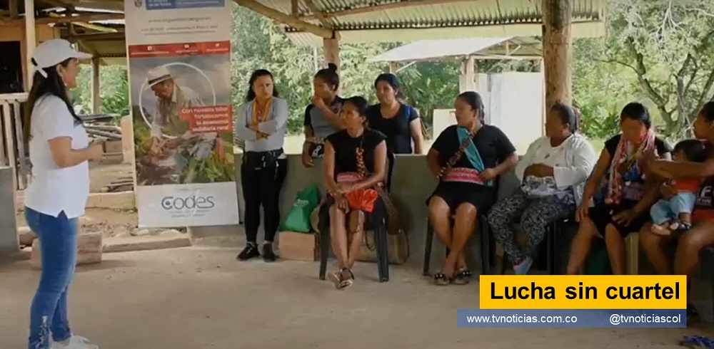 La existencia de la cultura aborigen está camino a la extinción por efecto de la modernidad. Por esa razón, los indígenas, enfrentan una lucha sin cuartel, hacia un enemigo invisible Lucha sin cuartel tvnoticiascol www.tvnoticias.com.co