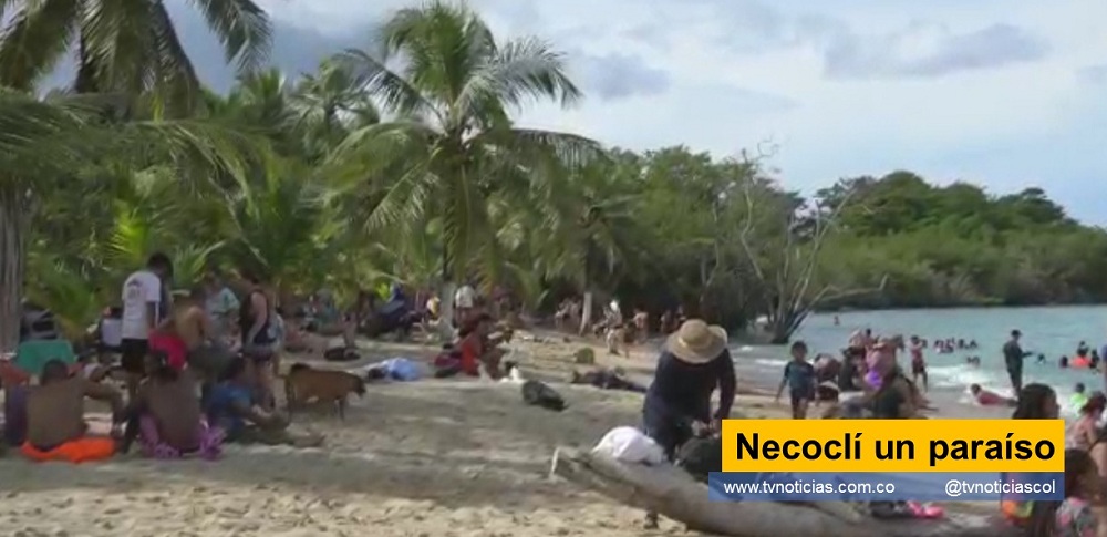 La costa Caribe ofrece esplendidos lugares para el disfrute de vacaciones en familia descanso laboral. Visitar a Necoclí, es una de esas oportunidades que no se deben desaprovechar los colombianos Necoclí un paraíso tvnoticiascol www.tvnoticias.com.co