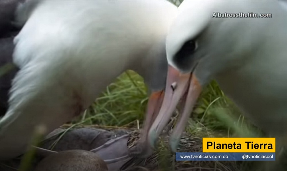 La contaminación es asunto que compromete a todo ser humano, sin discriminar lugar alguno Planeta Tierra tvnoticiascol www.tvnoticias.com.co contaminación