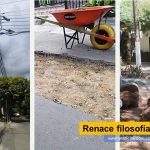 La recuperación de la confianza, de una comunidad, es fundamental para consolidar la vinculación de la población a su propio bienestar Renace filosofía comunal tvnoticiascol www.tvnoticias.com.co Sin embargo, la JAC de Los Colores barrio del área nororiental de Neiva, recupera esa esencia y con esa confianza, el presidente Nicolás Garrido, logra fortalecer la unidad social, encausar esfuerzos de inversión, consolidar la solidaridad colectiva, hacer realidad la seguridad, impulsar entrábamos colectivo pero, sobre todo, interesar al vecindario para dar soluciones a problemas básicos y revivir el trabajo colectivo