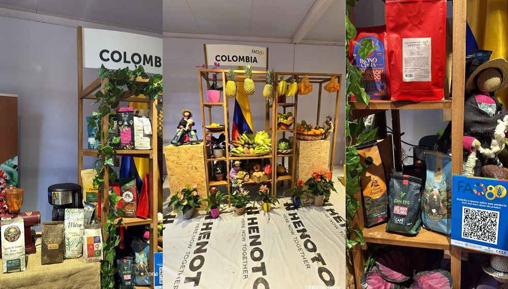 Cauca, Huila, Meta y Tolima, muestran al mundo, la riqueza agrobiodiversa Colombia presenta al mundo, el aroma de la paz y la innovación rural, en la Primera Exhibición Global de la Organización de Naciones Unidas para la Alimentación y la Agricultura - FAO - "De las semillas a los alimentos" realizada del 10 al 13 de octubre en Roma. Semana Mundial de la Alimentación, en conmemoración del 80 América Latina se viste de Algodón" América Latina y el Caribe Colombia muestra su riqueza agrícola y agrobiodiversa en la Semana Mundial de la Alimentación de la FAO en Roma
