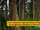 El grupo ecológico "Los Castores" de Acevedo representará al Huila, en el Mecanismo para bosques y fincas que, impulsa una alianza global integrada por la FAO y diversos socios de cooperación internacional que, busca fortalecer a organzacione de productores forestales y agrícolas de pequeña escala en África, Asia y América Latina Los Castores representará al Huila, en programa bosques y fincas FAO - TVNOTICIASCOL