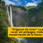 Las ONGs, conformadas por habitantes del campo, son el estandarte, para conservar y proteger tanto la fauna como la flora, en municipios de la zona norte del Macizo Colombiano. Estas organizaciones, las lideran profesionales jóvenes, dedicados, por vocación, a proteger lo valioso e irreparable que tienen sus territorios, generalmente olvidados por el Poder Administrativo regional y nacional. Orígenes de Isnos trabaja por la conservación de la fauna y la flora - TVNOTICIAS
