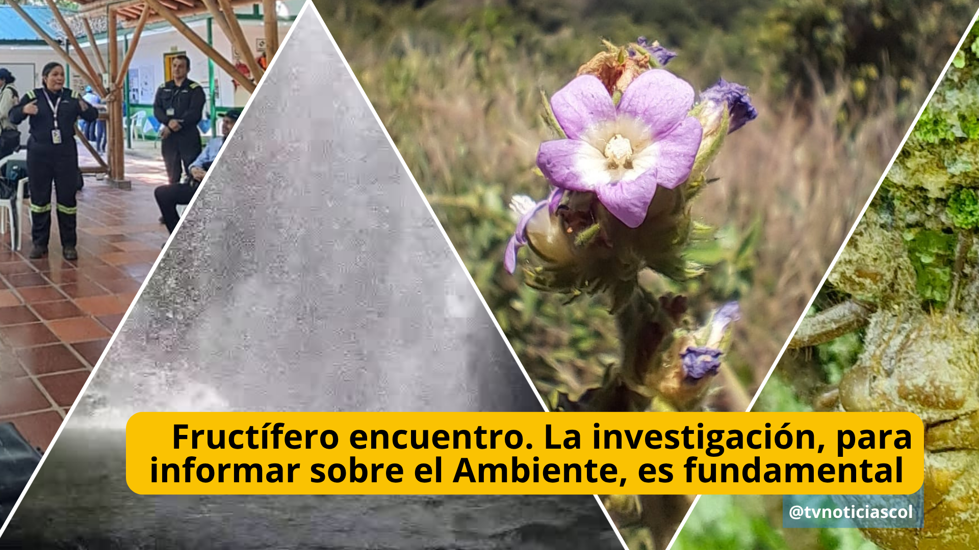 La entrega de noticias, sobre el entorno ambiental, a través de canales de los Medios de Comunicación, exige tanto investigación como conocimiento de quien informa. Esta, la recomendación del taller, ofrecido por la regional Andina de ECOPETROL en la reserva La Tribuna, en Neiva, Huila, el jueves 19 de marzo de 2026. Fructífero encuentro. La investigación, para informar sobre el Medio Ambiente, es fundamental - TVNOTICIAS