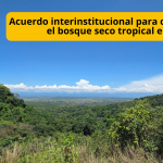 Un importante paso, para proteger la biodiversidad del país, concretó ECOPETROL e ISA Energía, mediante acuerdo que, beneficia directamente la conservación del bosque seco tropical en el Huila, donde se encuentra uno de los ecosistemas más estratégicos y vulnerables de Colombia TVNOTICIAS Acuerdo interinstitucional para conservar el bosque seco tropical en el Huila ECORESERVA lA TRIBUNA