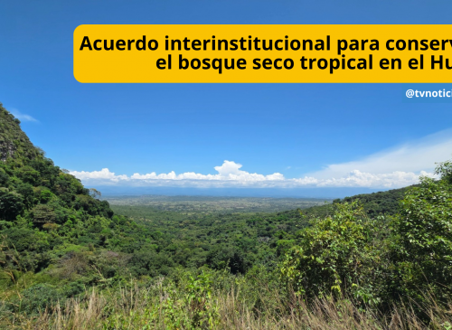 Un importante paso, para proteger la biodiversidad del país, concretó ECOPETROL e ISA Energía, mediante acuerdo que, beneficia directamente la conservación del bosque seco tropical en el Huila, donde se encuentra uno de los ecosistemas más estratégicos y vulnerables de Colombia TVNOTICIAS Acuerdo interinstitucional para conservar el bosque seco tropical en el Huila ECORESERVA lA TRIBUNA