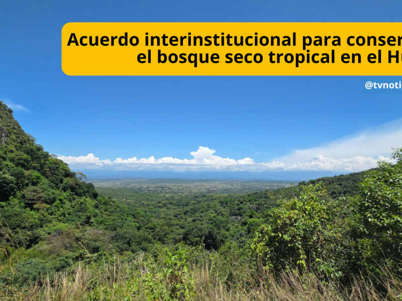 Un importante paso, para proteger la biodiversidad del país, concretó ECOPETROL e ISA Energía, mediante acuerdo que, beneficia directamente la conservación del bosque seco tropical en el Huila, donde se encuentra uno de los ecosistemas más estratégicos y vulnerables de Colombia TVNOTICIAS Acuerdo interinstitucional para conservar el bosque seco tropical en el Huila ECORESERVA lA TRIBUNA