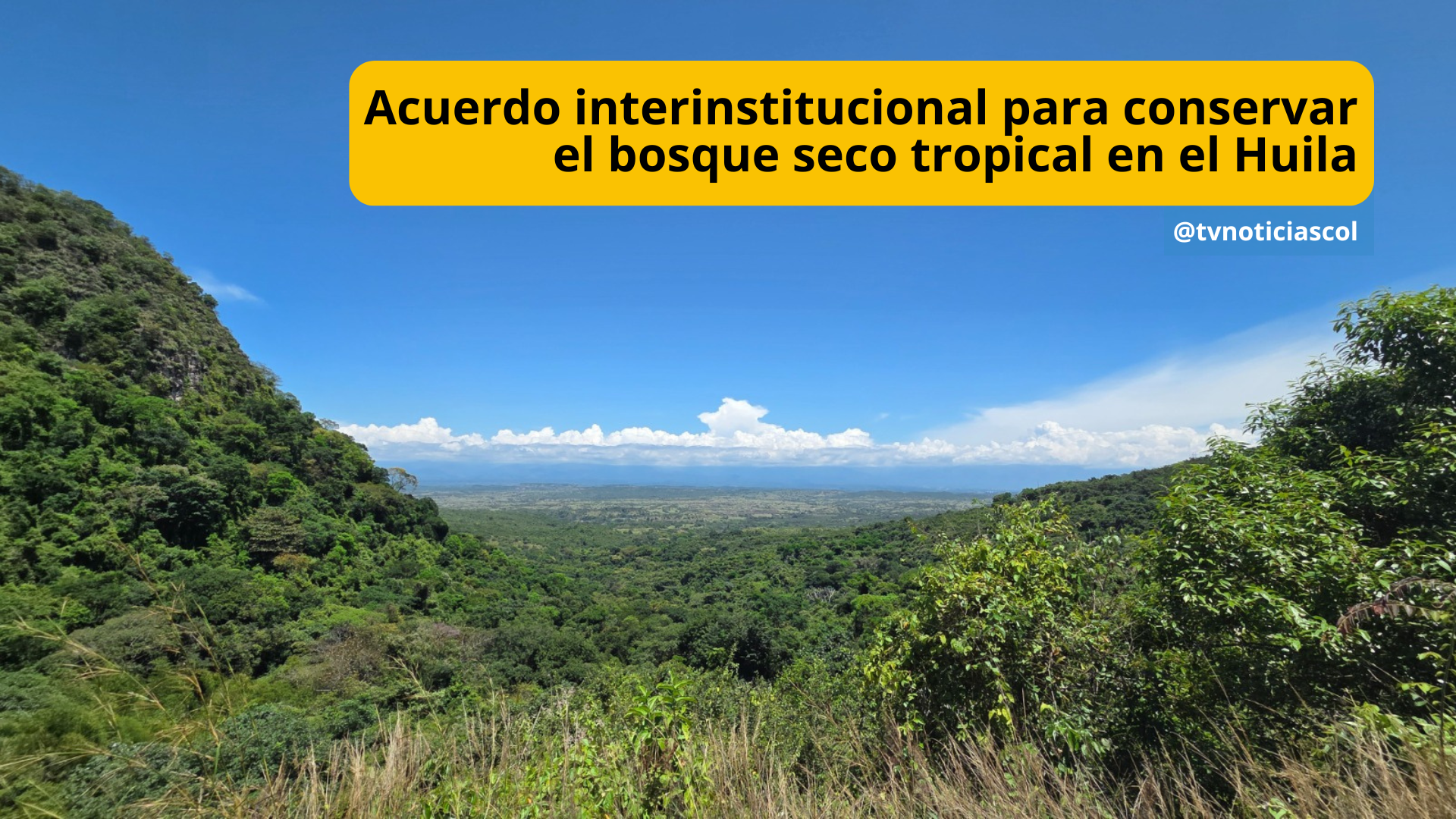 Un importante paso, para proteger la biodiversidad del país, concretó ECOPETROL e ISA Energía, mediante acuerdo que, beneficia directamente la conservación del bosque seco tropical en el Huila, donde se encuentra uno de los ecosistemas más estratégicos y vulnerables de Colombia TVNOTICIAS Acuerdo interinstitucional para conservar el bosque seco tropical en el Huila ECORESERVA lA TRIBUNA