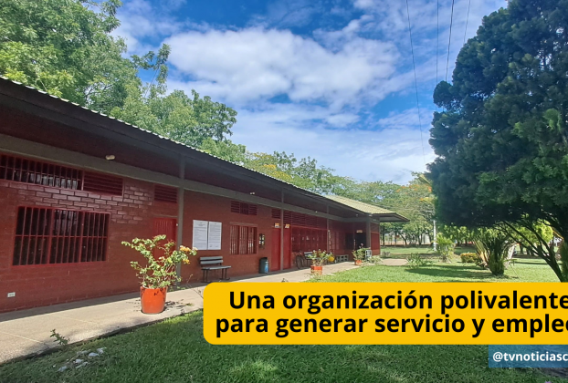 La ocupación de mano de obra, la distribución oportuna de alimentos, el beneficio para el productor y la proyección de posibilidades, caracterizan a La Central de Abastecimientos del Sur Una organización polivalente, para generar servicio y empleo - tvnoticiascol Germán Peña Surabastos P.H. Neiva Huila