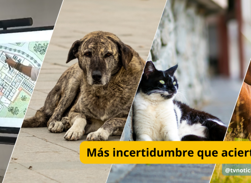 La capital del Huila proyecta construir el Centro de Bienestar Animal sobre un lote de 30 mil metros cuadrados en la ribera occidental del río Las Ceibas, en zona rural del oriente de la ciudad Más incertidumbre que aciertos - tvnoticiascol